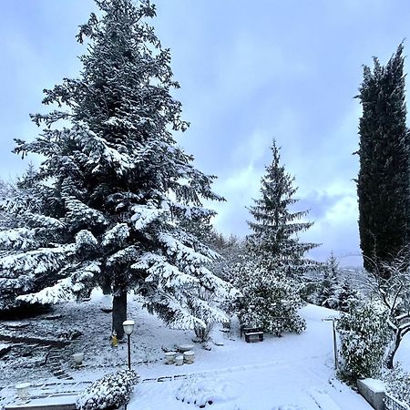 Mazzetti Country House-Vita In Campagna Con Giardino Vimignano-Chiesa Exteriér fotografie