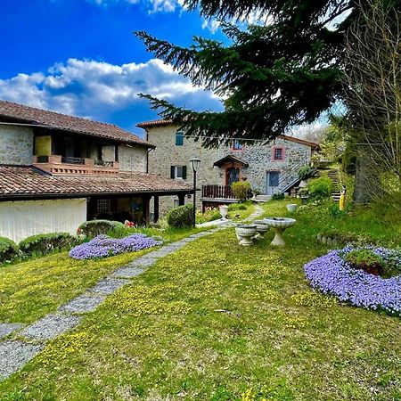 Mazzetti Country House-Vita In Campagna Con Giardino Vimignano-Chiesa Exteriér fotografie