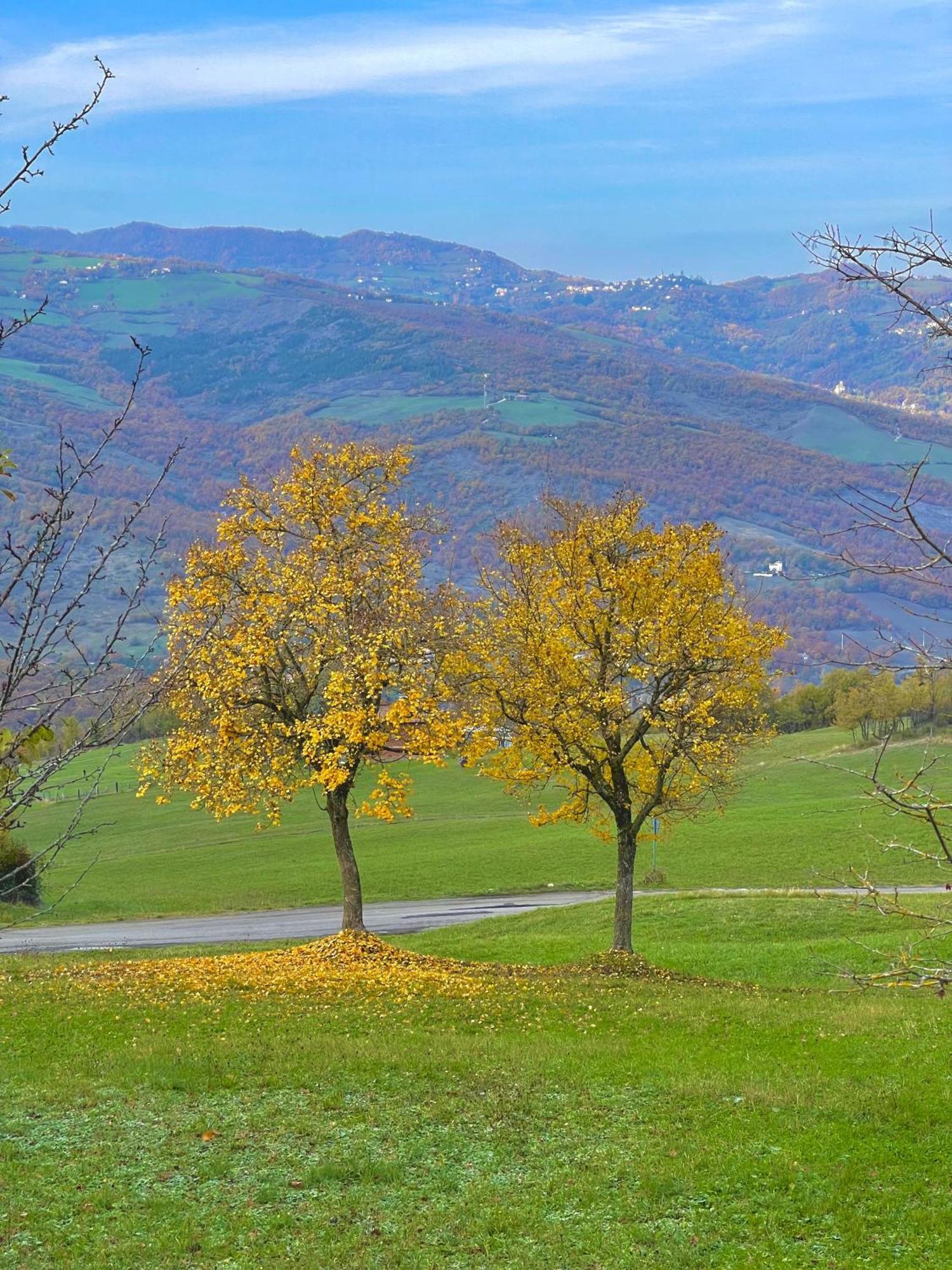Mazzetti Country House-Vita In Campagna Con Giardino Vimignano-Chiesa Exteriér fotografie