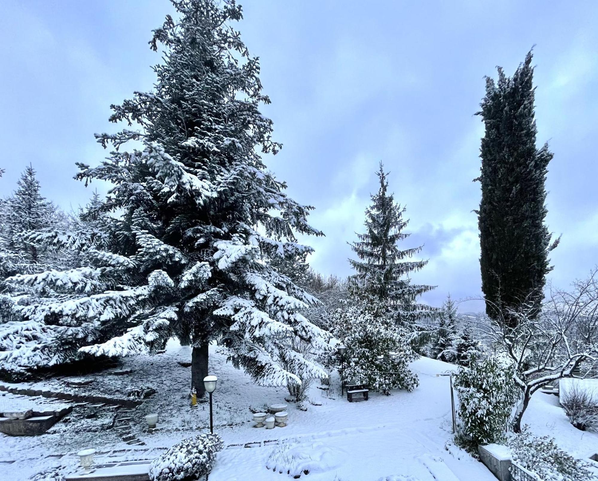 Mazzetti Country House-Vita In Campagna Con Giardino Vimignano-Chiesa Exteriér fotografie