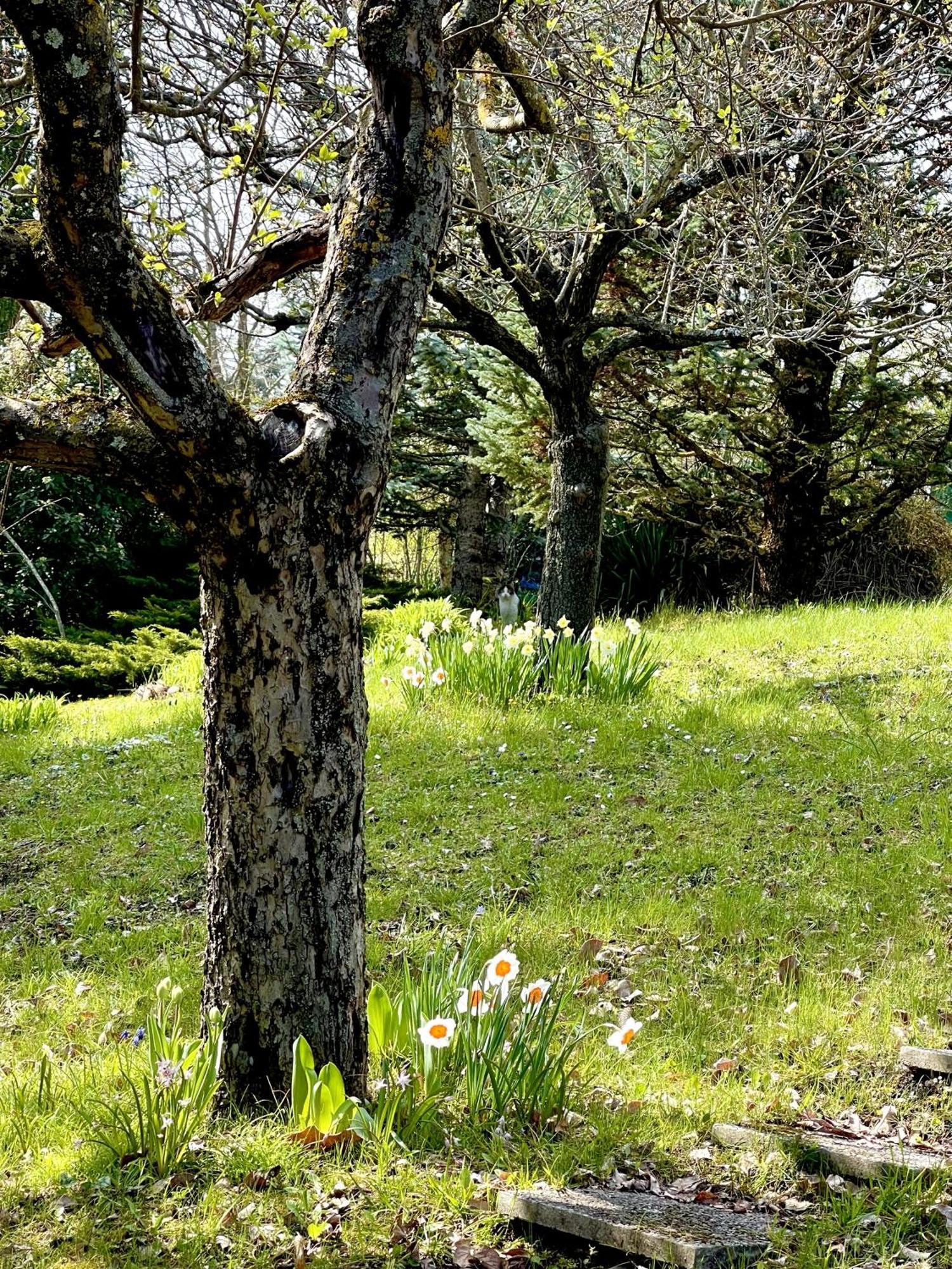 Mazzetti Country House-Vita In Campagna Con Giardino Vimignano-Chiesa Exteriér fotografie