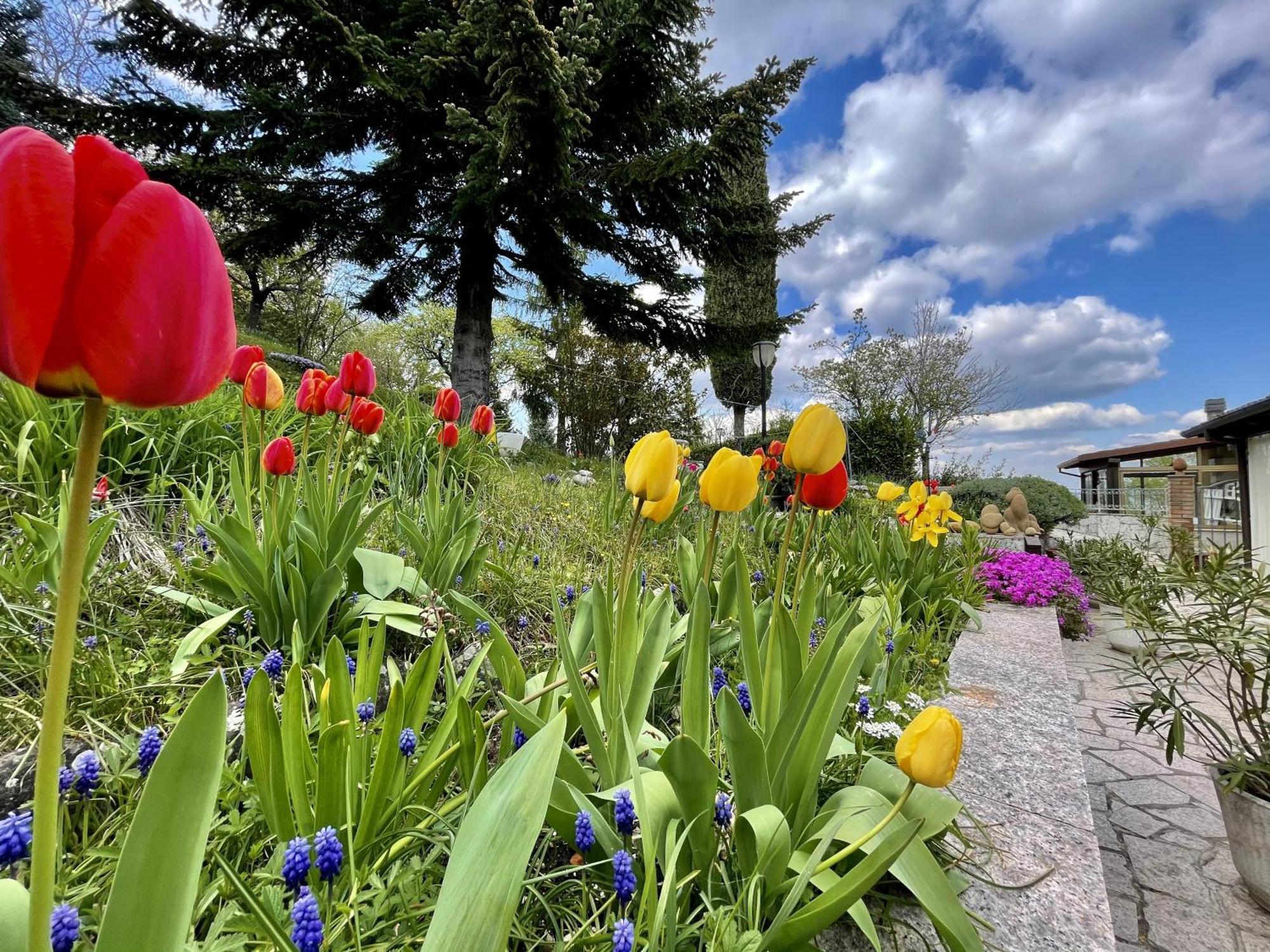 Mazzetti Country House-Vita In Campagna Con Giardino Vimignano-Chiesa Exteriér fotografie