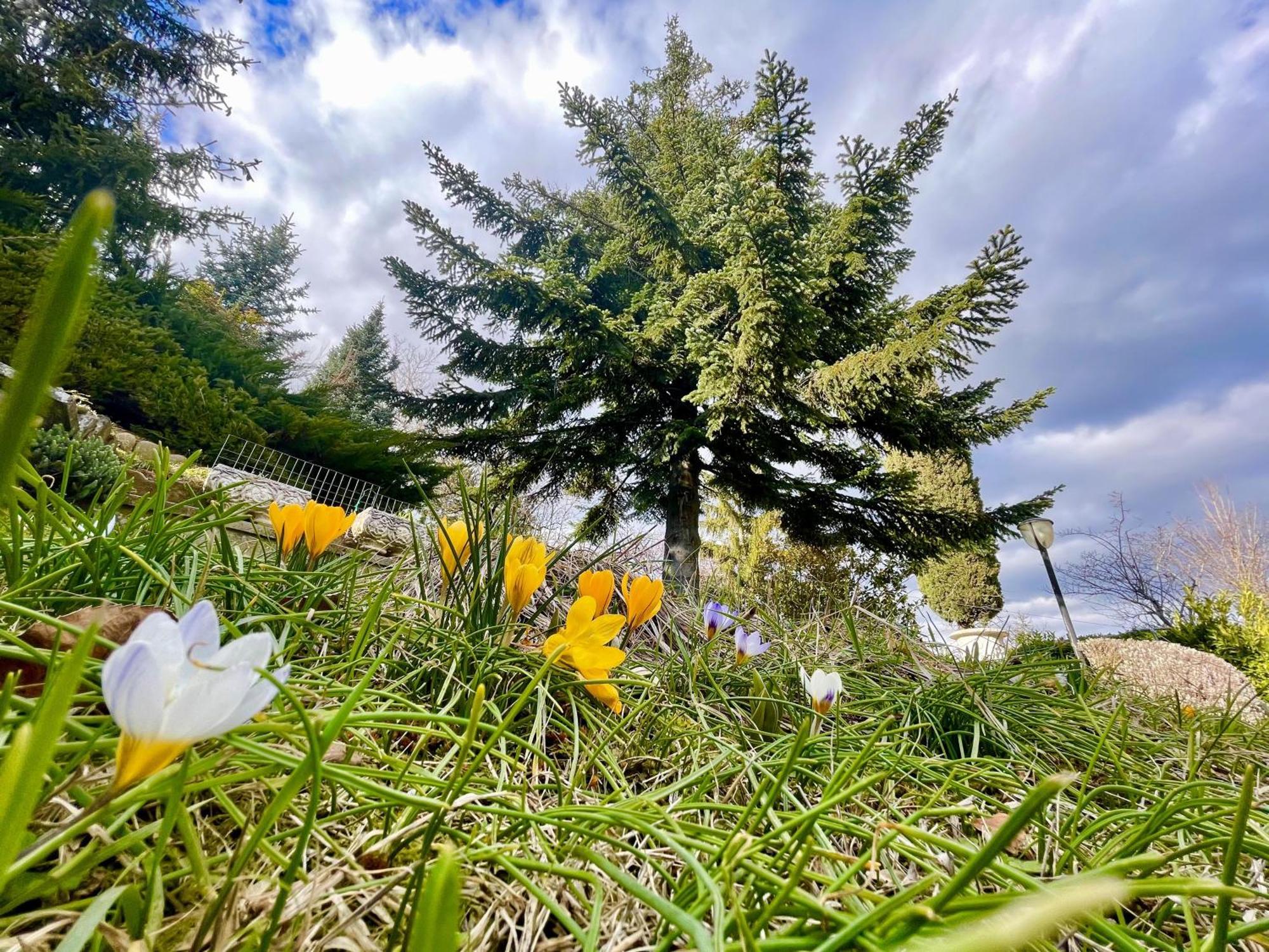 Mazzetti Country House-Vita In Campagna Con Giardino Vimignano-Chiesa Exteriér fotografie