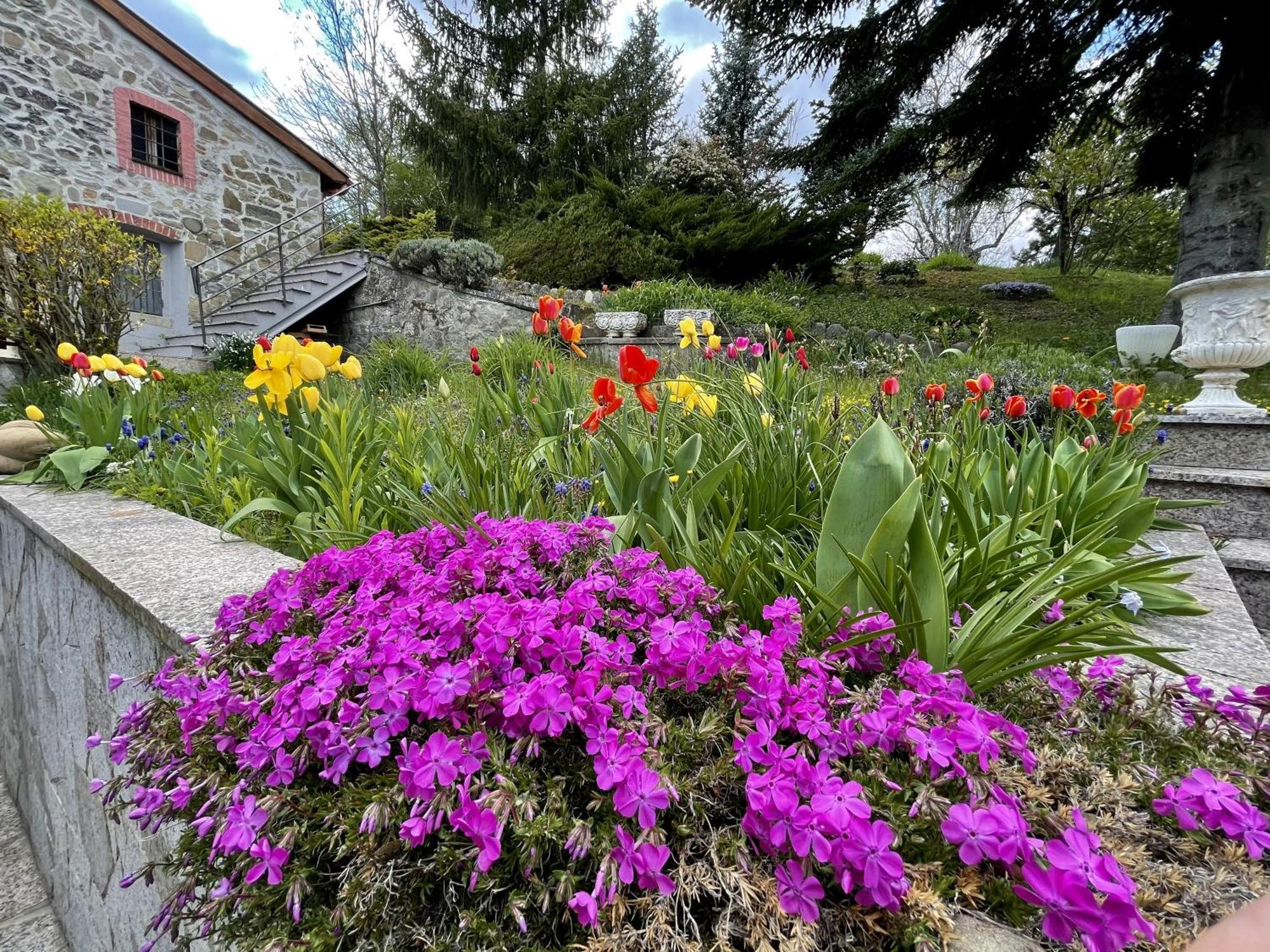 Mazzetti Country House-Vita In Campagna Con Giardino Vimignano-Chiesa Exteriér fotografie