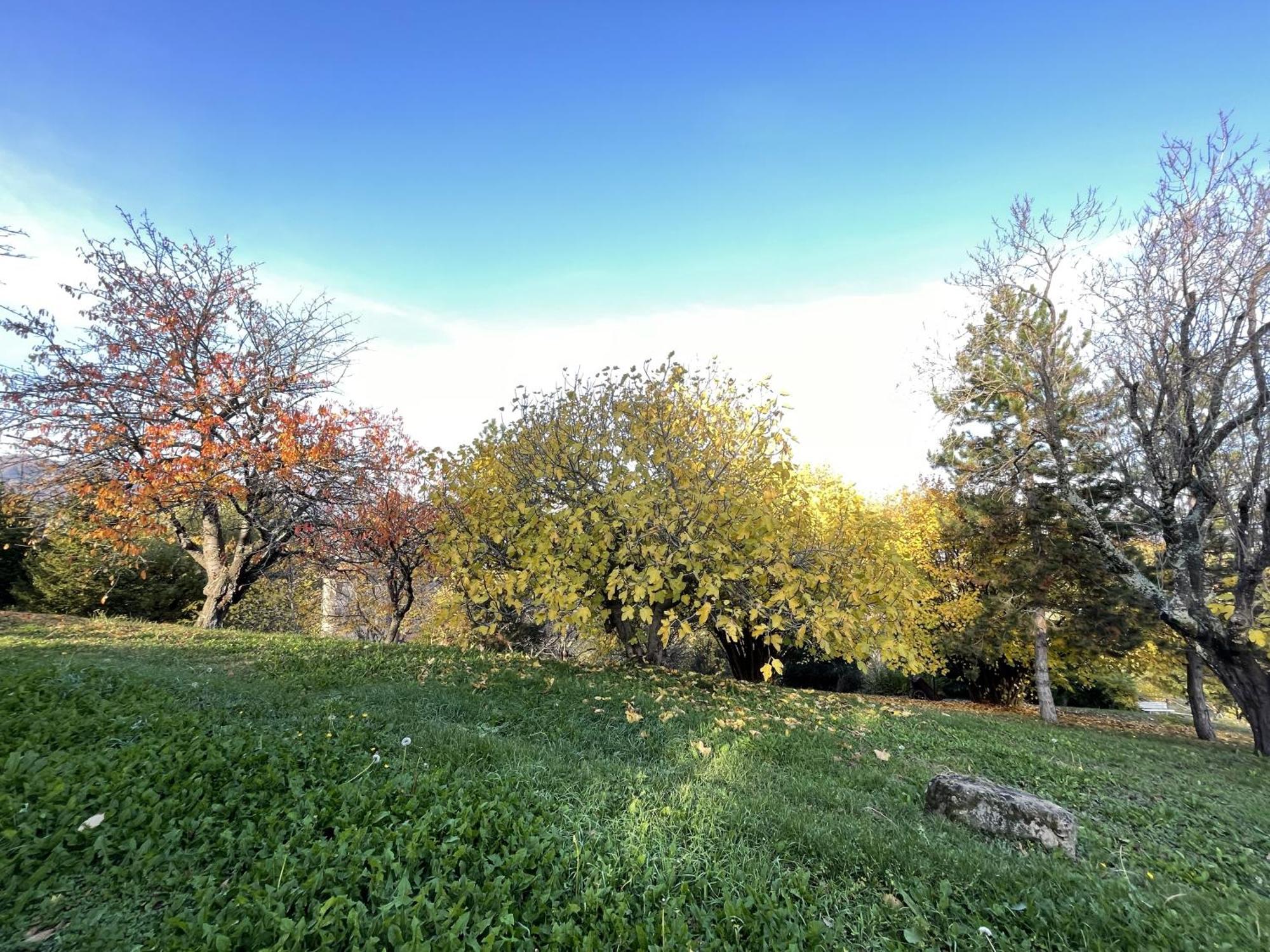 Mazzetti Country House-Vita In Campagna Con Giardino Vimignano-Chiesa Exteriér fotografie
