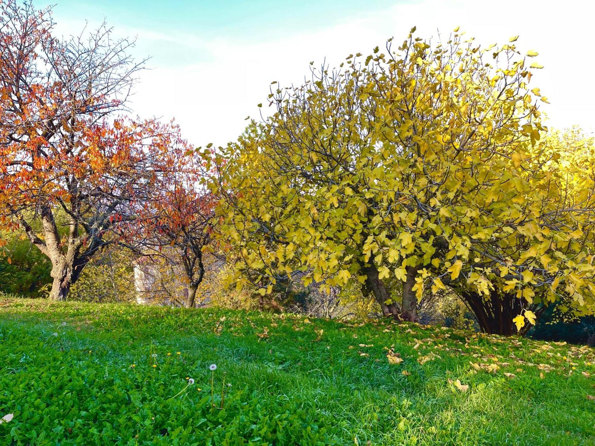 Mazzetti Country House-Vita In Campagna Con Giardino Vimignano-Chiesa Exteriér fotografie