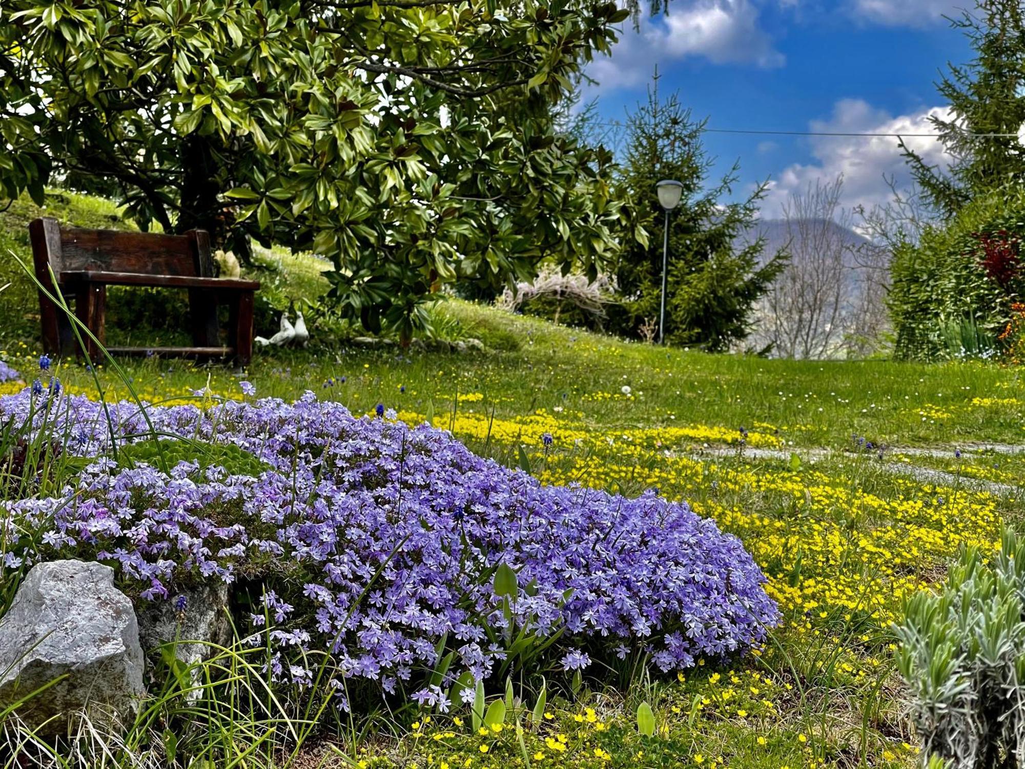 Mazzetti Country House-Vita In Campagna Con Giardino Vimignano-Chiesa Exteriér fotografie