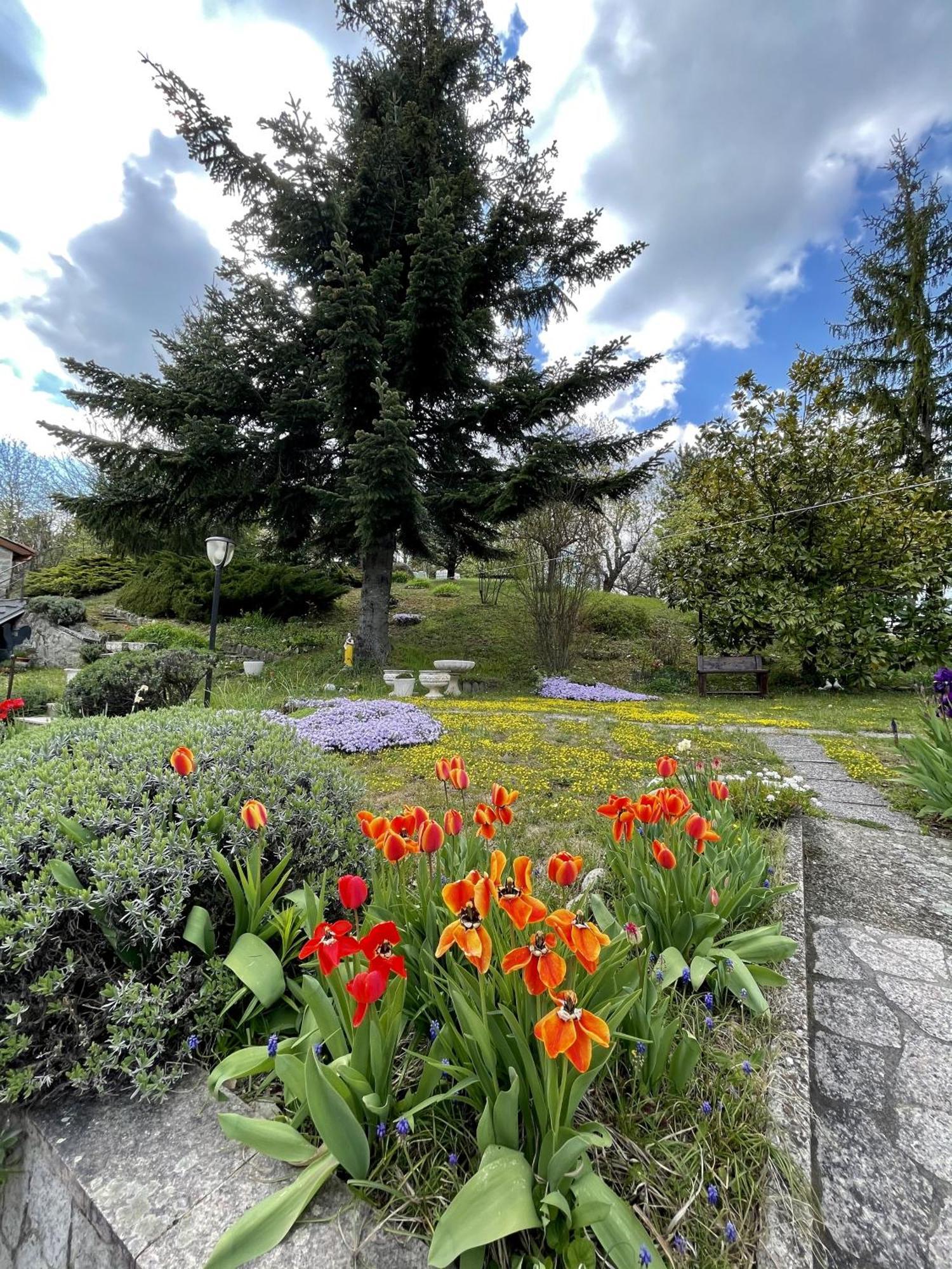 Mazzetti Country House-Vita In Campagna Con Giardino Vimignano-Chiesa Exteriér fotografie